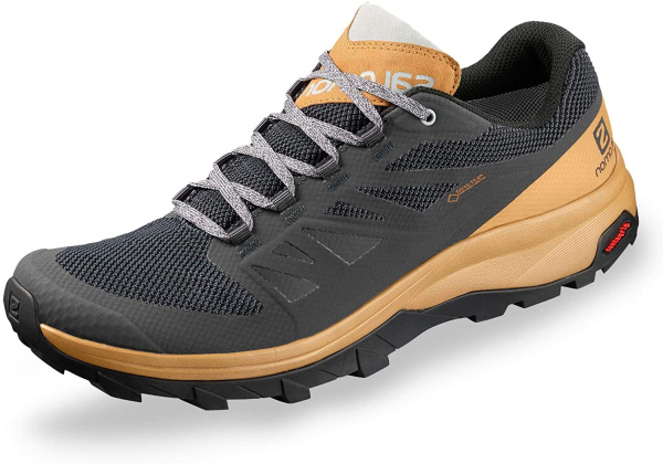Кроссовки OUTline GTX (11.5 (45); Ebony/Bistre/Pearl Bl)